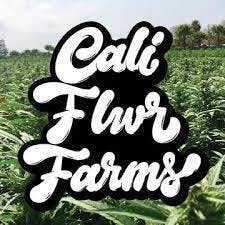 Photograph of product: Sour D 1G | Viva Oui'd