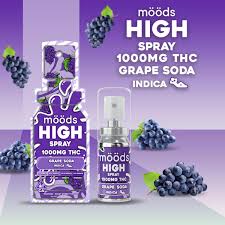Photograph of product: GRAPE SODA