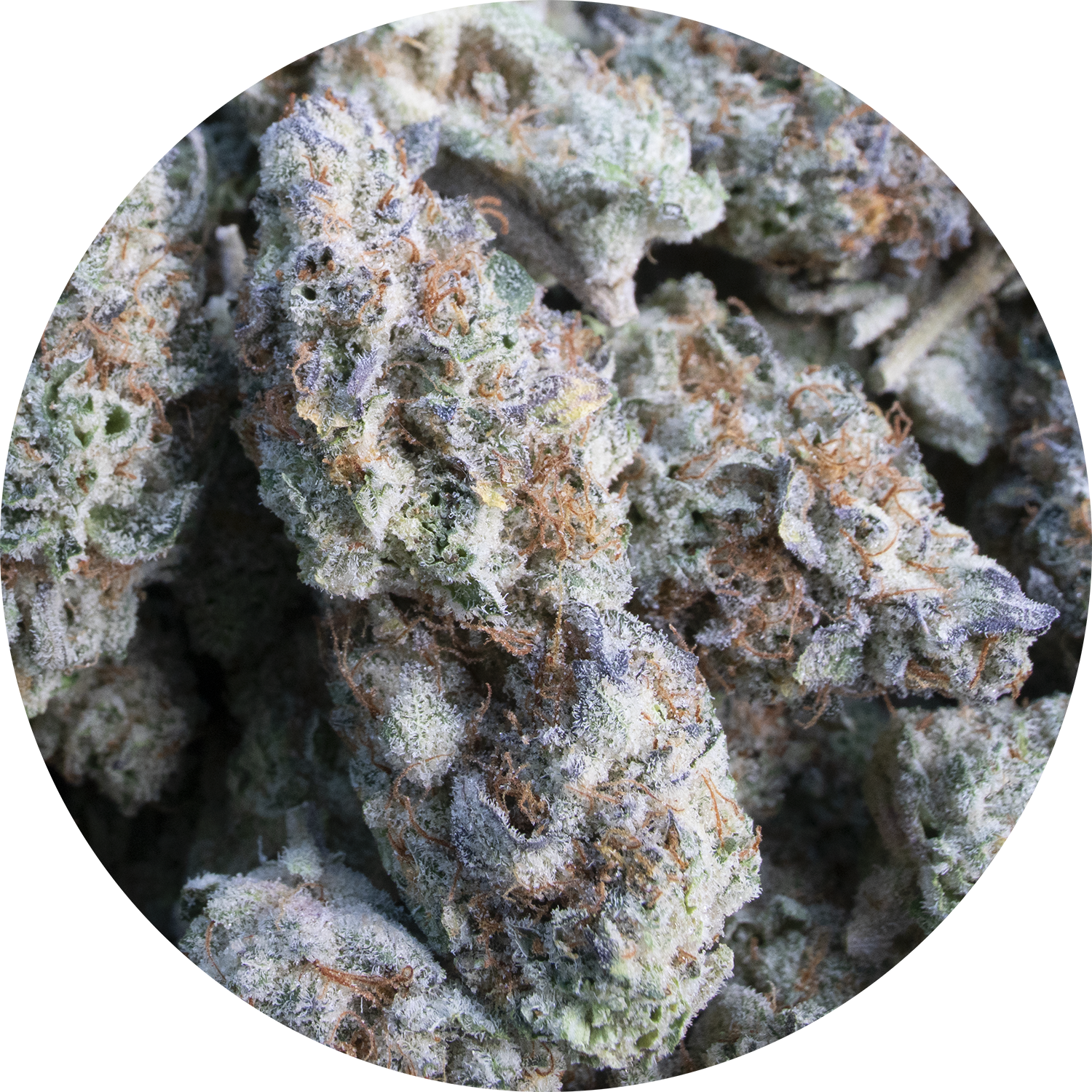 Photograph of product: Mr. Nasty - 28g