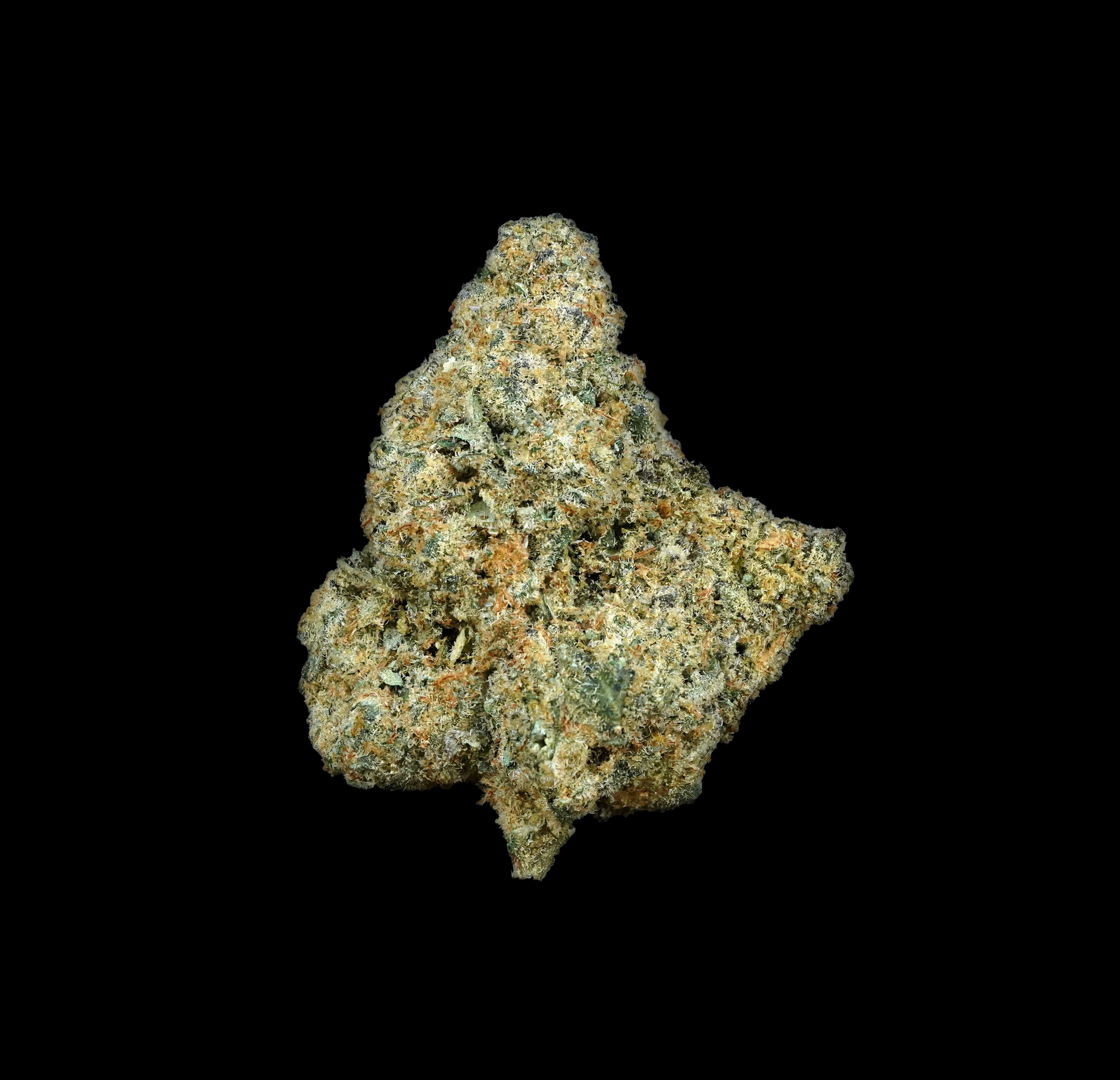 Photograph of product: (TOPSHELF BULK) Lazer Wolf - Oui'd - 28g