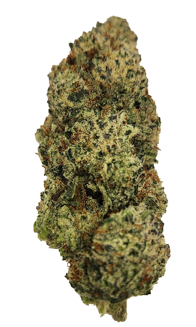Photograph of product: au chocolat Bee OG | The Hive Flower - 28g