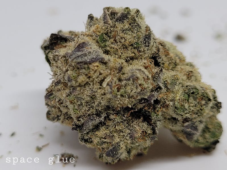 Photograph of product: Space Glue 22% by CannaDMG