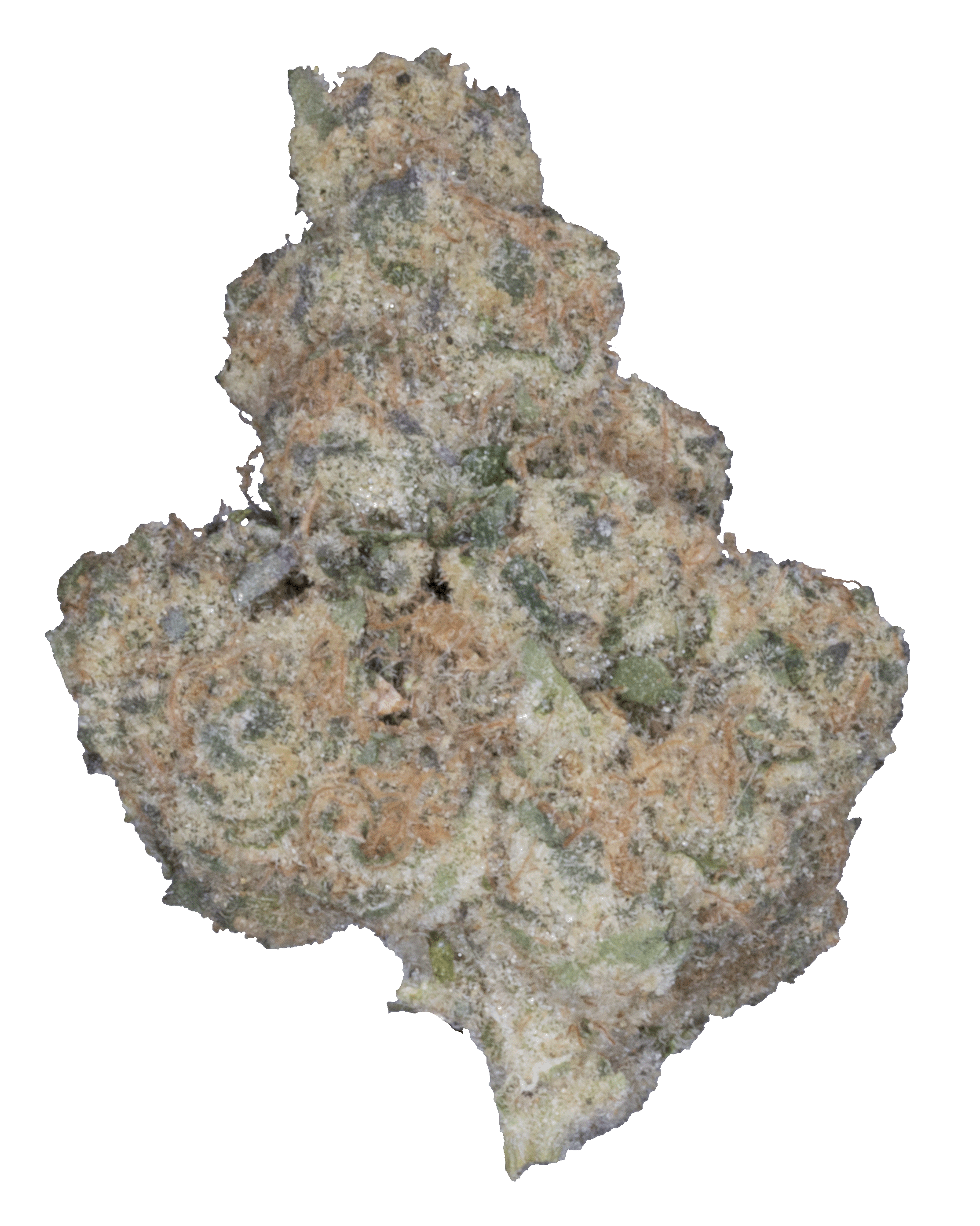 Photograph of product: Blackwater Kush - 3.5g