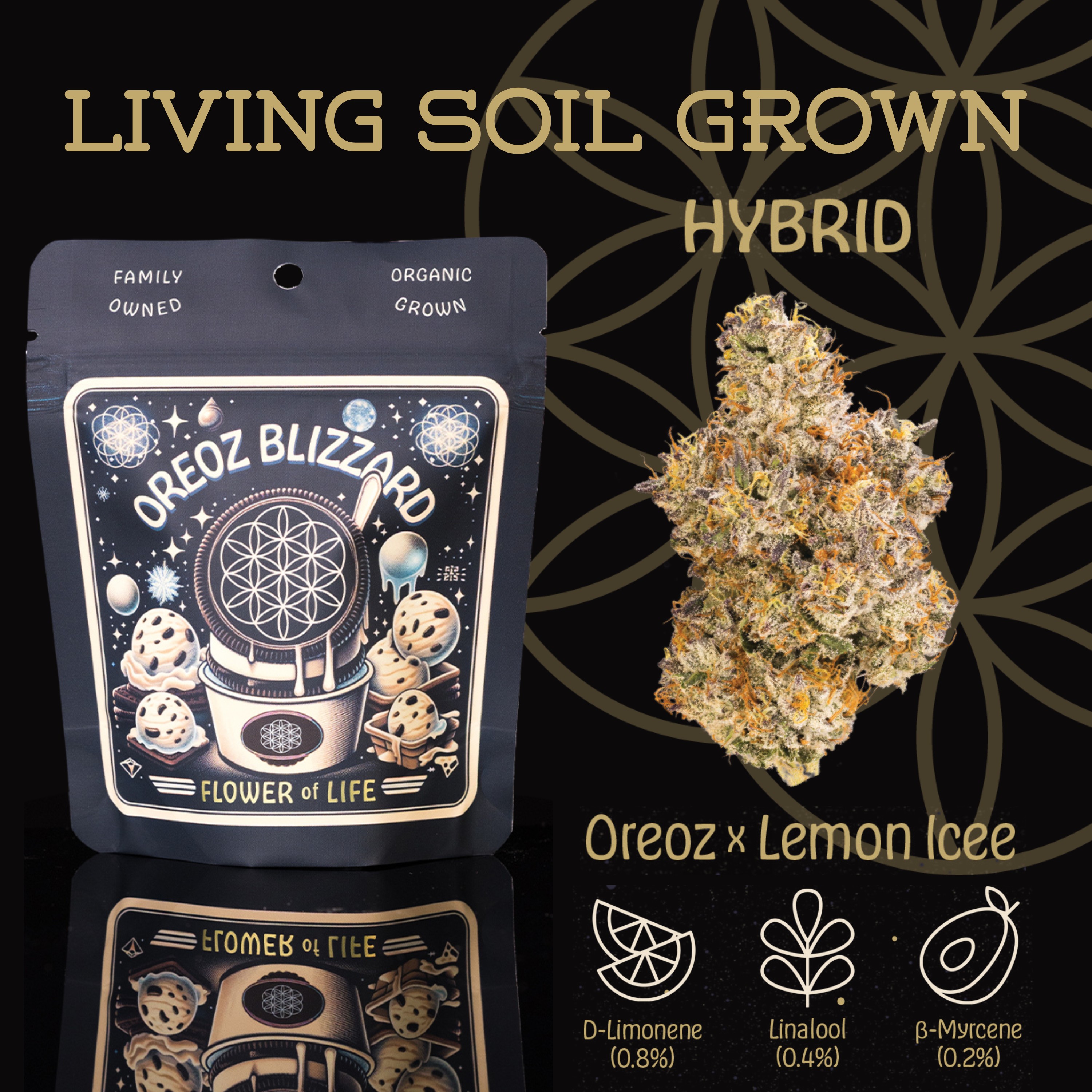 Photograph of product: Flower Of Life - Oreoz Blizzard - Organic Bulk Flower - Hybrid - 1g
