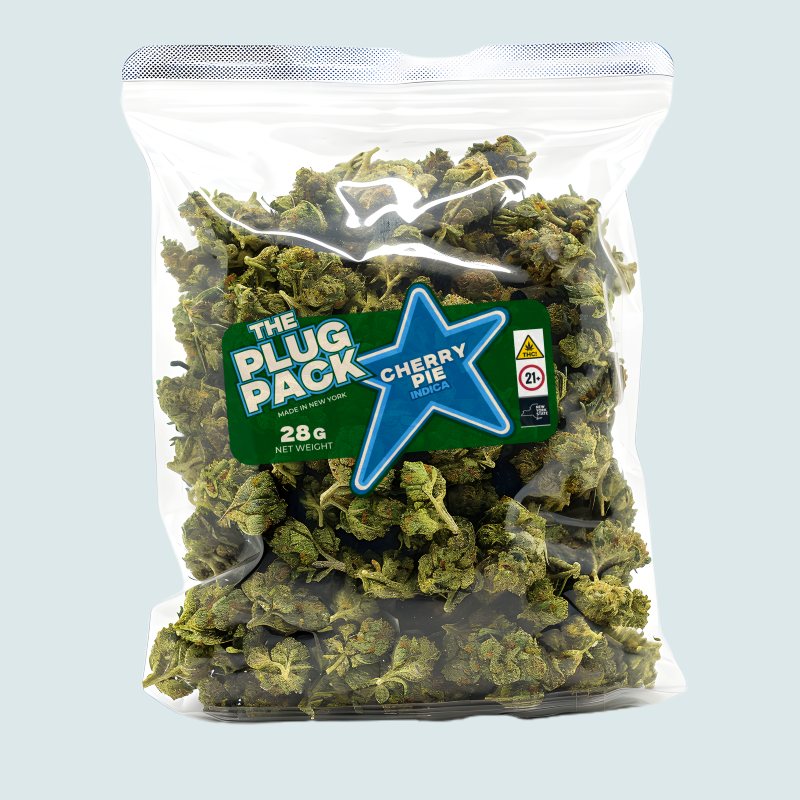 Photograph of product: Plug Pack - Flower - Cherry Pie - 28g