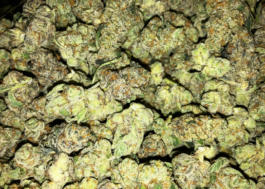 Photograph of product: Purple Sunset | Smalls | Muskegon Grow - 28g