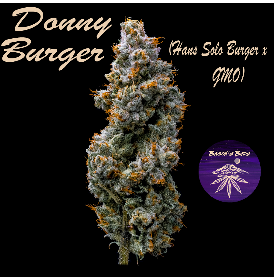 Photograph of product: Donny Burger (DOH) - 7g