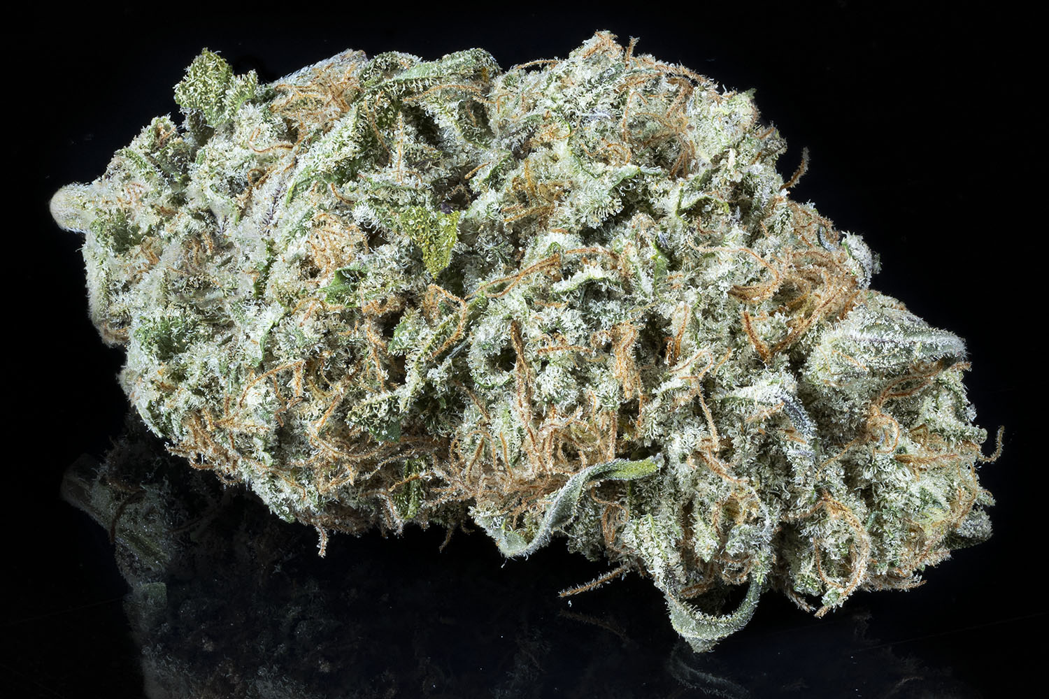 Photograph of product: Snow Ghost - Bulk Flower - 28g