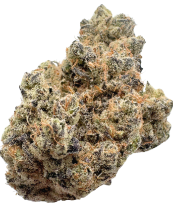 Photograph of product: Cruise Control | LIZARD BURGER - 14g