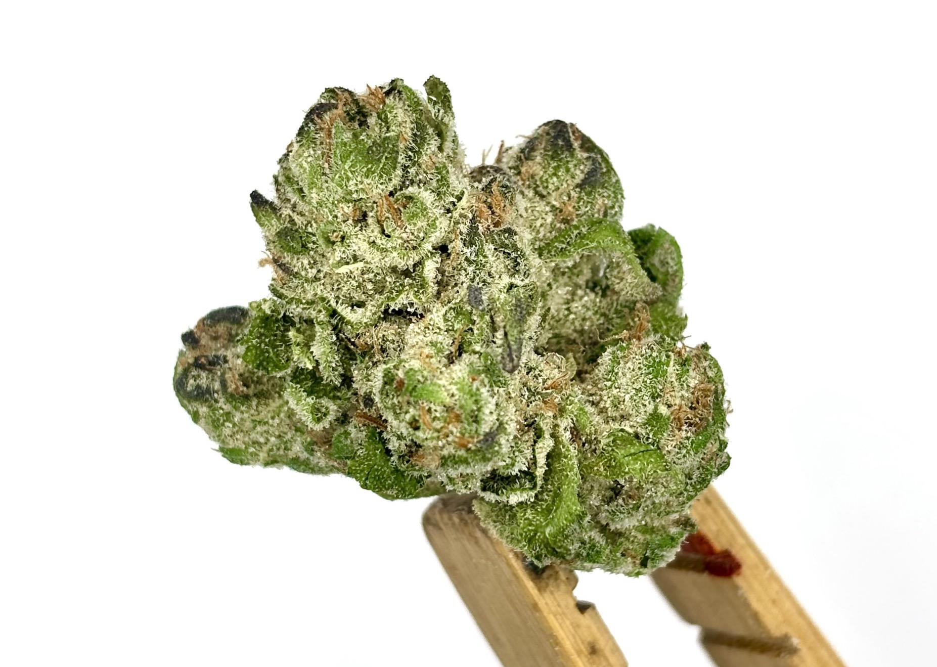 Photograph of product: DogHouse | Crash Glow | House Pre-Pack | 28g