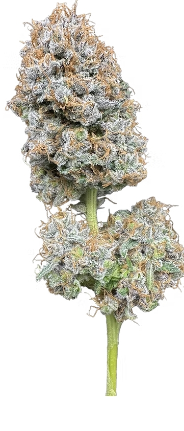 Photograph of product: Sour Strawberry 3.5g Flower Trifecta Farms