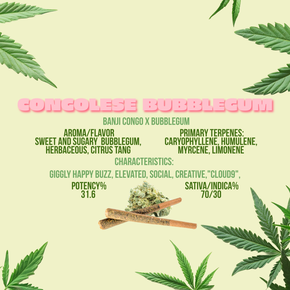 Photograph of product: 2Js - Congolese Bubblegum - Preroll - 0.7g - 2pk (1.4g)