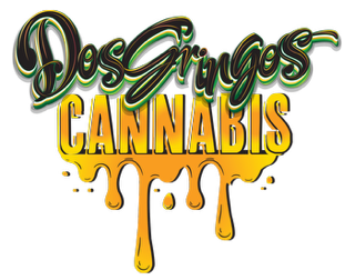 Photograph of product: MED Dos Gringos - AM Mimosa - 500MG