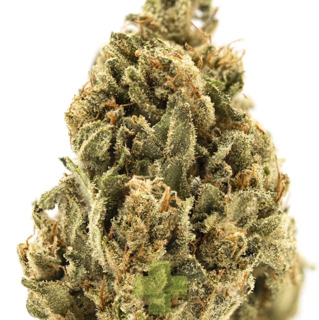 Photograph of product: Cannatonic X Ringo's Gift, SG - Eighth