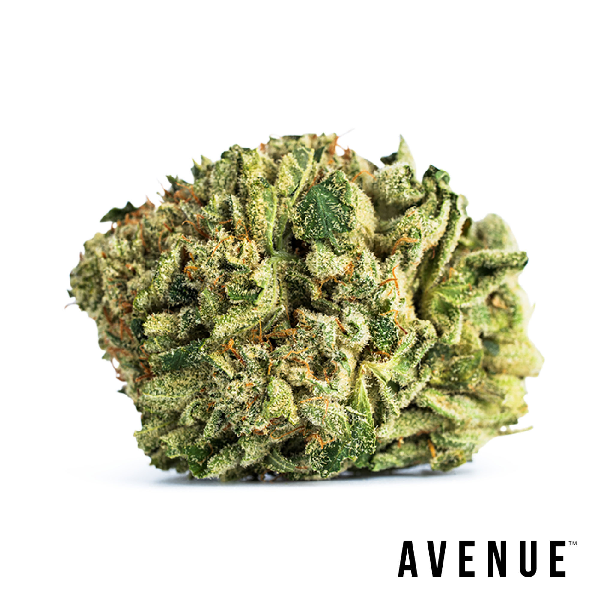 Photograph of product: GG4 | 3.5g