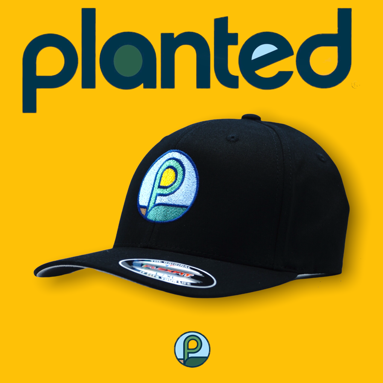 Photograph of product: Flexfit Hat w/ Multi-Color P Coin | Black | Small - Medium Fit