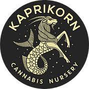 Photograph of product: KAPRIKORN Jack Murphy Prerolls