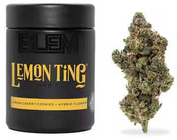 Photograph of product: BLEM Lemon Ting Hybrid Flower - 3.5g