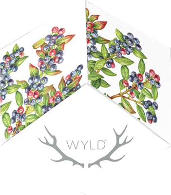 Photograph of product: Huckleberry - 100mg - 10ct