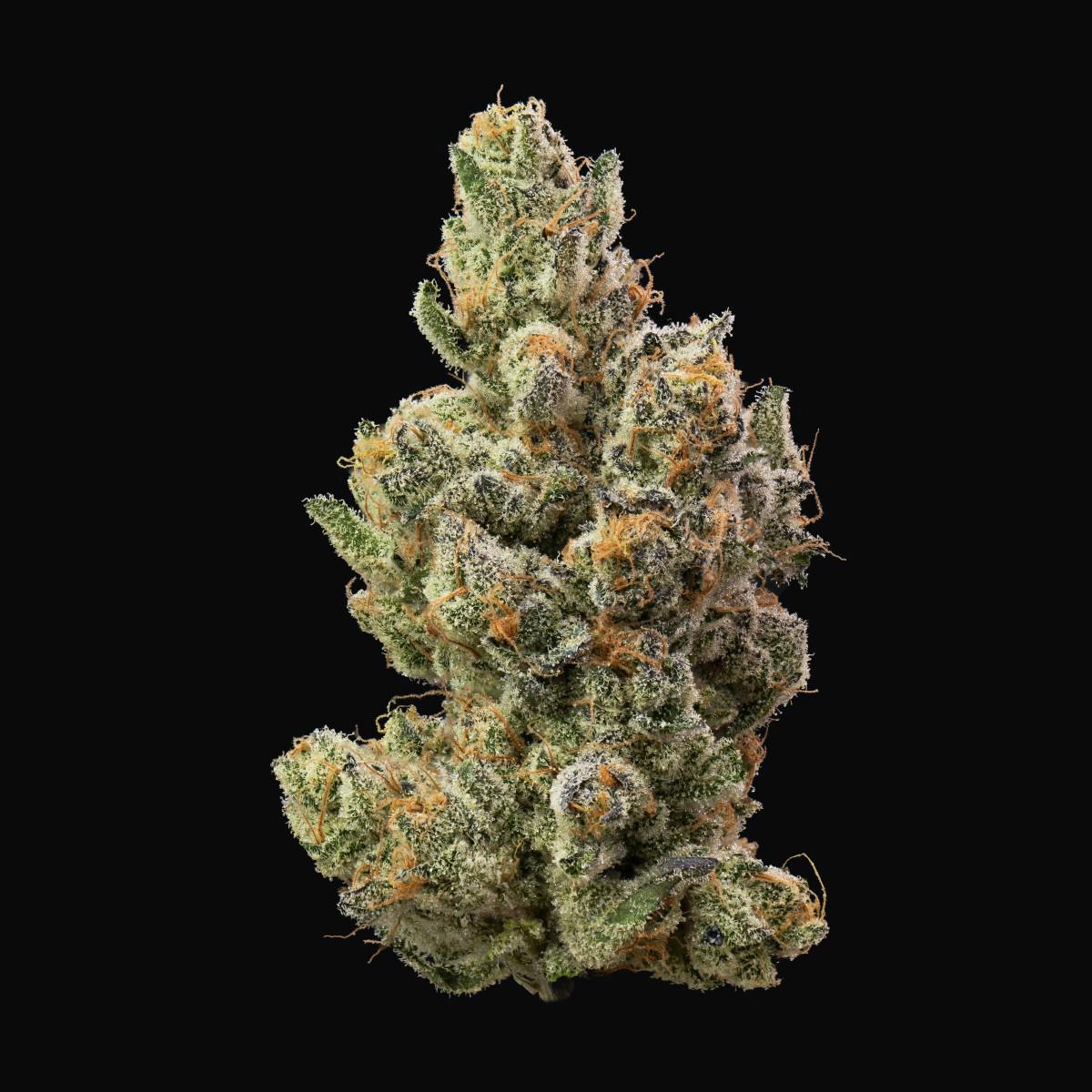 Photograph of product: Impressed | Gypsie Road 3.5g Flower