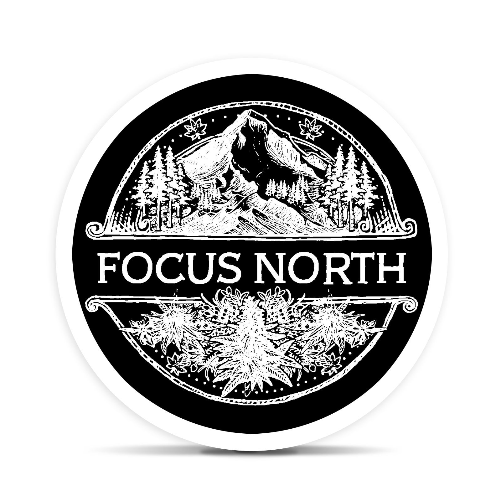 Photograph of product: Focus North - Sherb Cocktail - 14g