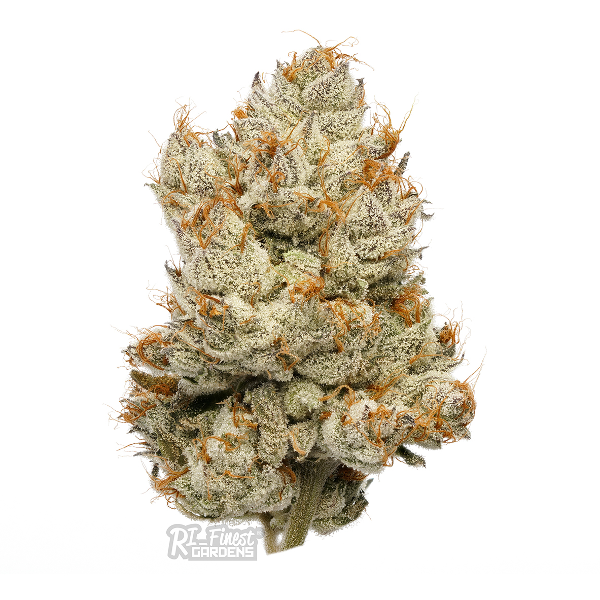 Photograph of product: Chilly - 3.5g
