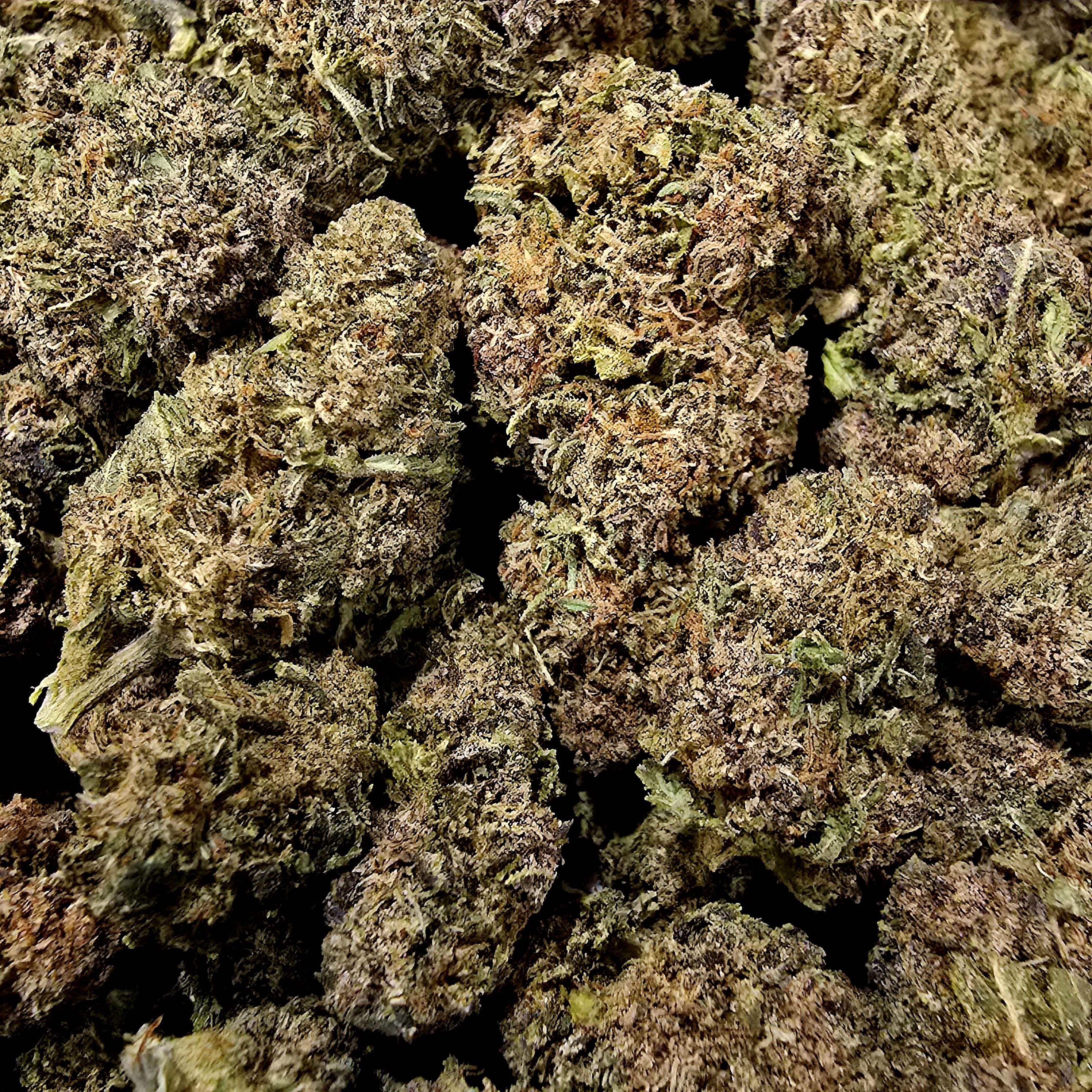 Photograph of product: Lemon Rainbows (5.17% Terps) - 1g