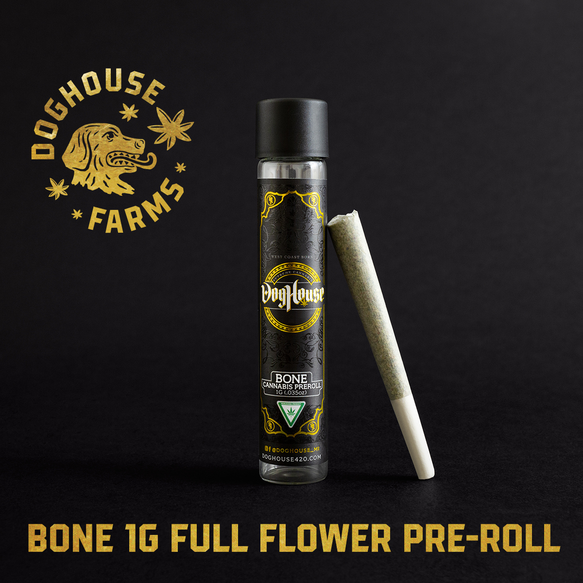 Photograph of product: Doghouse Gratiot Gold by Pine Park - 1g Full Flower Pre-Roll - Oui'd