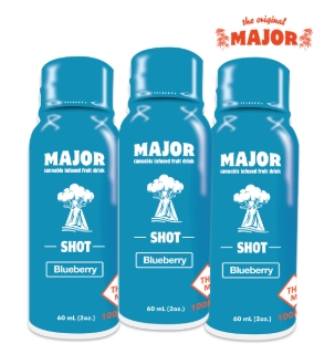 Photograph of product: Major - Blueberry 100mg Infused Fruit Drink