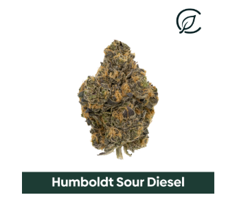 Photograph of product: Humboldt Sour Diesel Whole Flower | T23.30% | 00951 | 14g