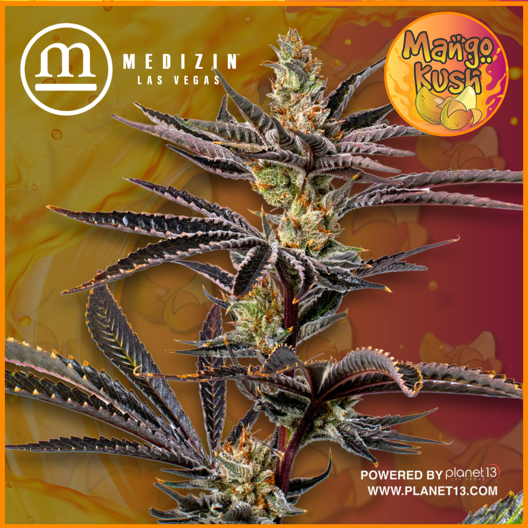 Photograph of product: Mango Kush 3.5g Prepack