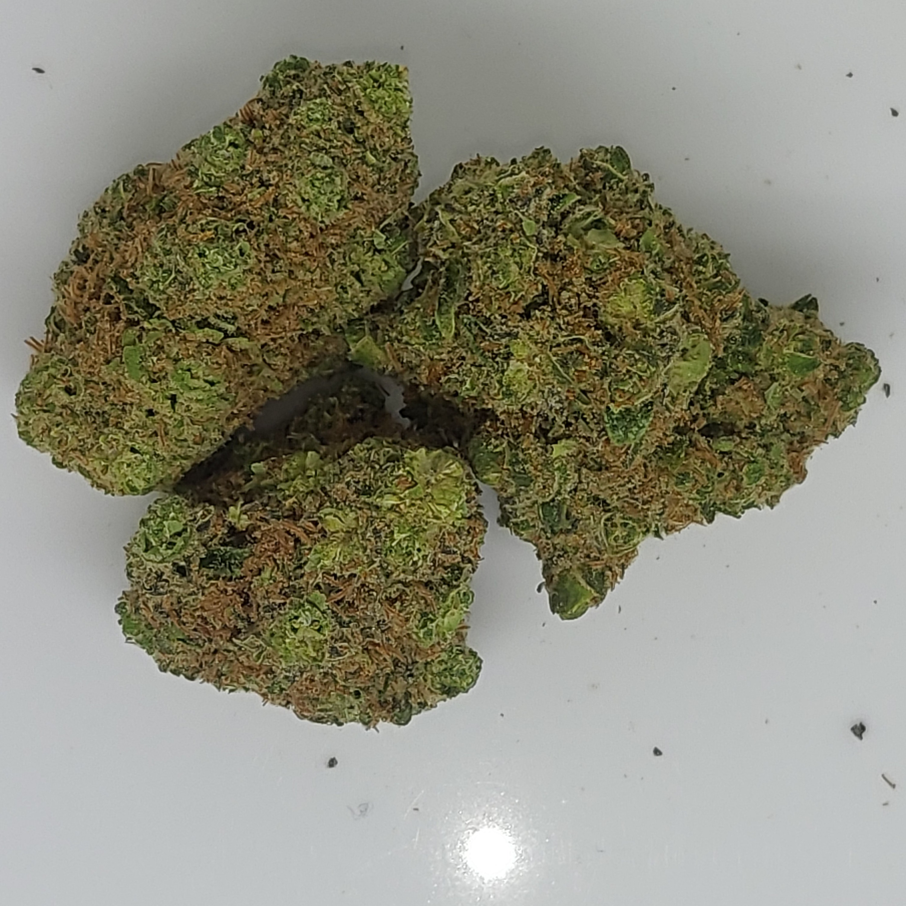 Photograph of product: White Widow 1g Flower 25.84% TH-oui by ALASKAbuds