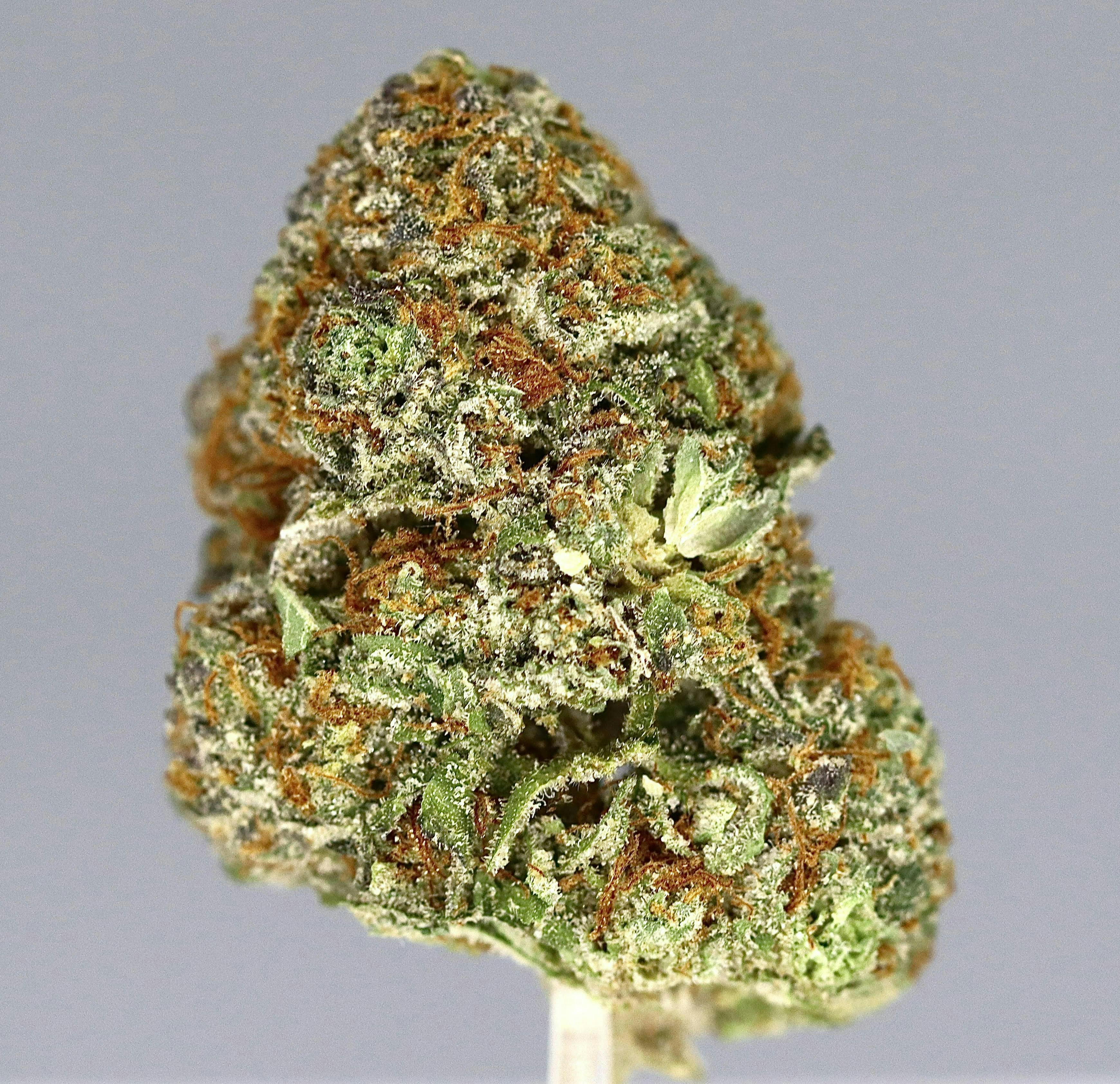 Photograph of product: Revo Group - Red Bull 28G - 28 grams