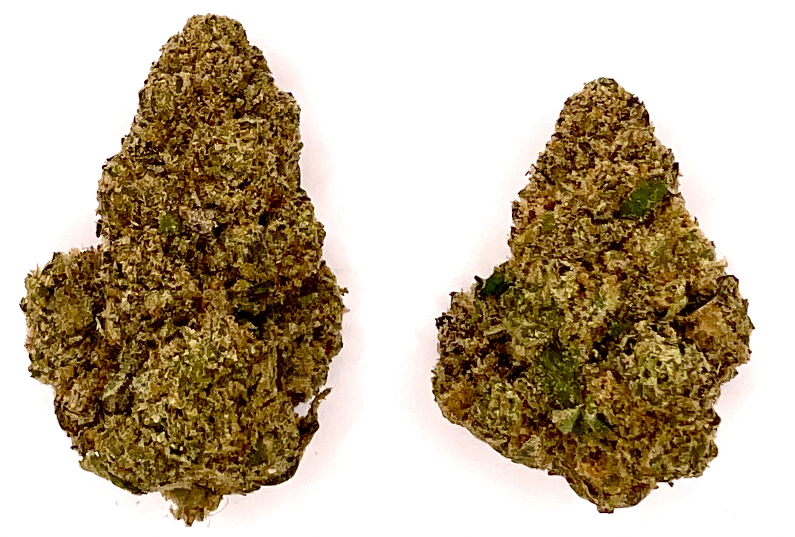 Photograph of product: Buds | Rizz Patrol - 28g