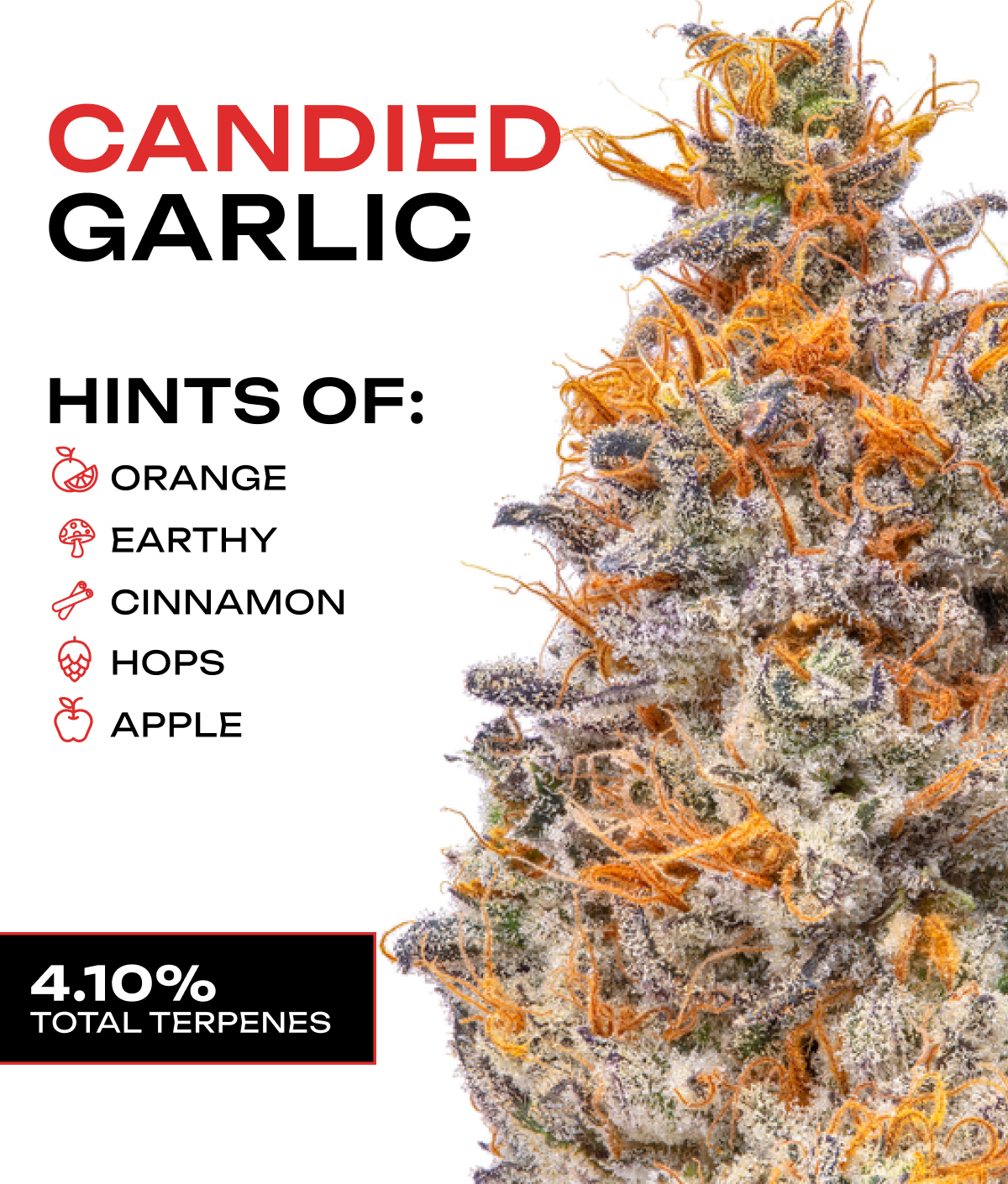 Photograph of product: Candied Garlic - 3.5g