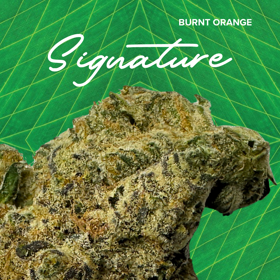 Photograph of product: Signature 3.5g Burnt Orange