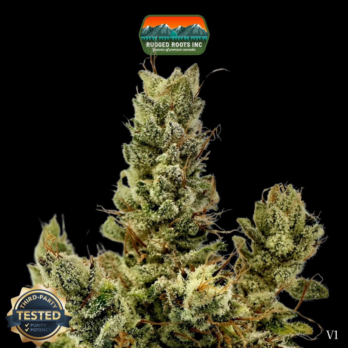 Photograph of product: Rugged Roots | Gorilla Glue 3.5g