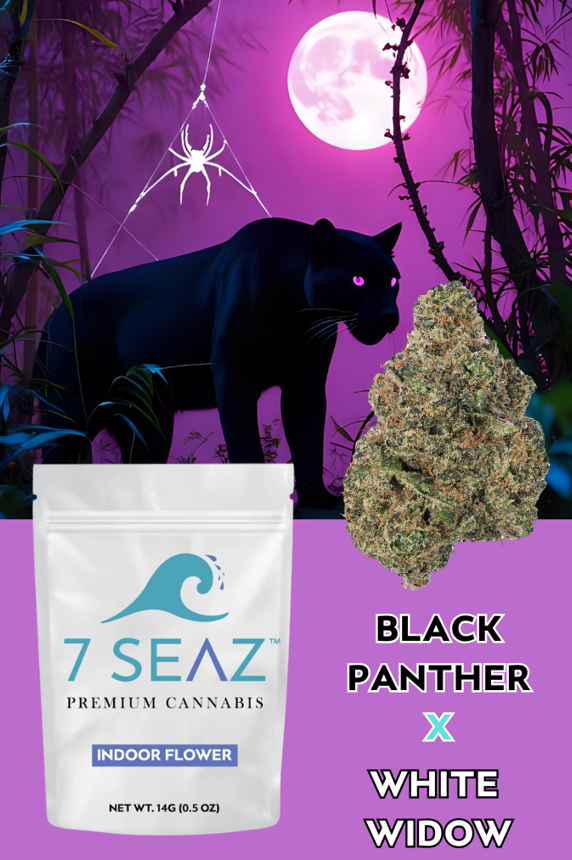 Photograph of product: Black Panther x White Widow Flower | Hybrid | 7 Seaz - 14g