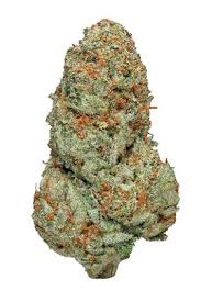 Photograph of product: Half Pint 4 Buds - 3.5g