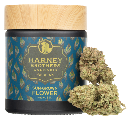 Photograph of Product: Harney Brothers | Jar Pound Town Flower - 3.5g