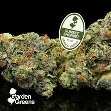 Photograph of product: Garden Greens l Sunset Sherbert l 3.5g