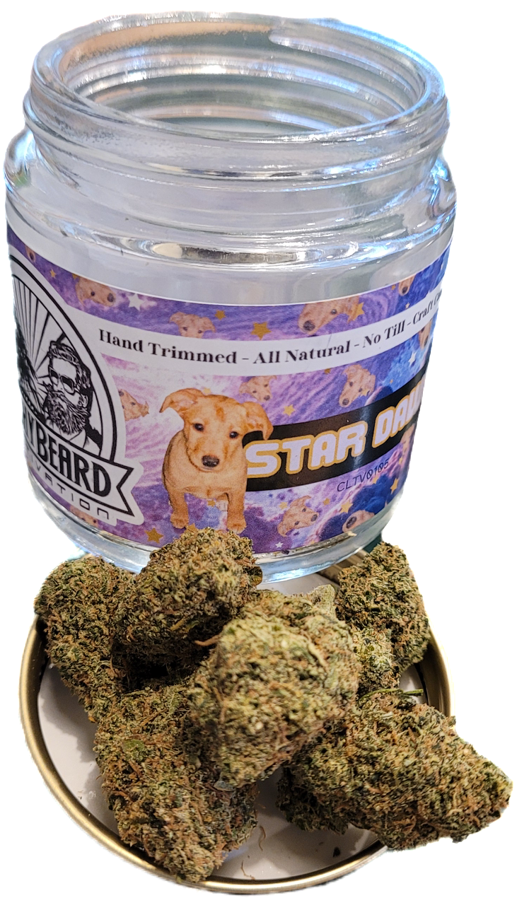 Photograph of product: Star Dawg Jar | Bushy Beard - 3.5g