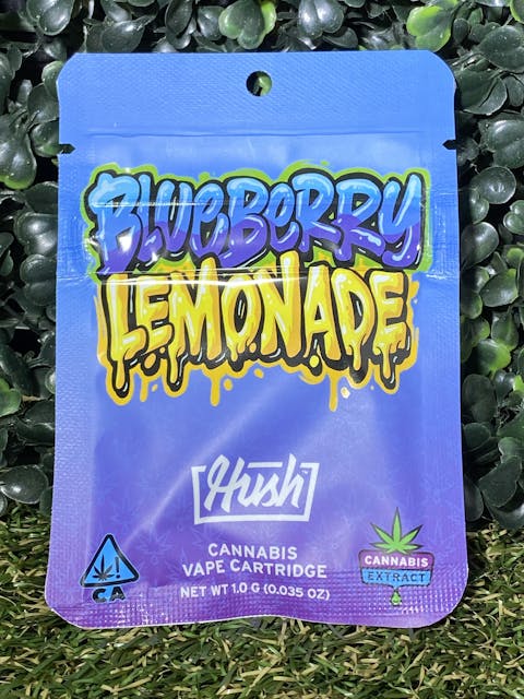Photograph of product: BLUEBERRY LEMONADE 1G - REFILL - 