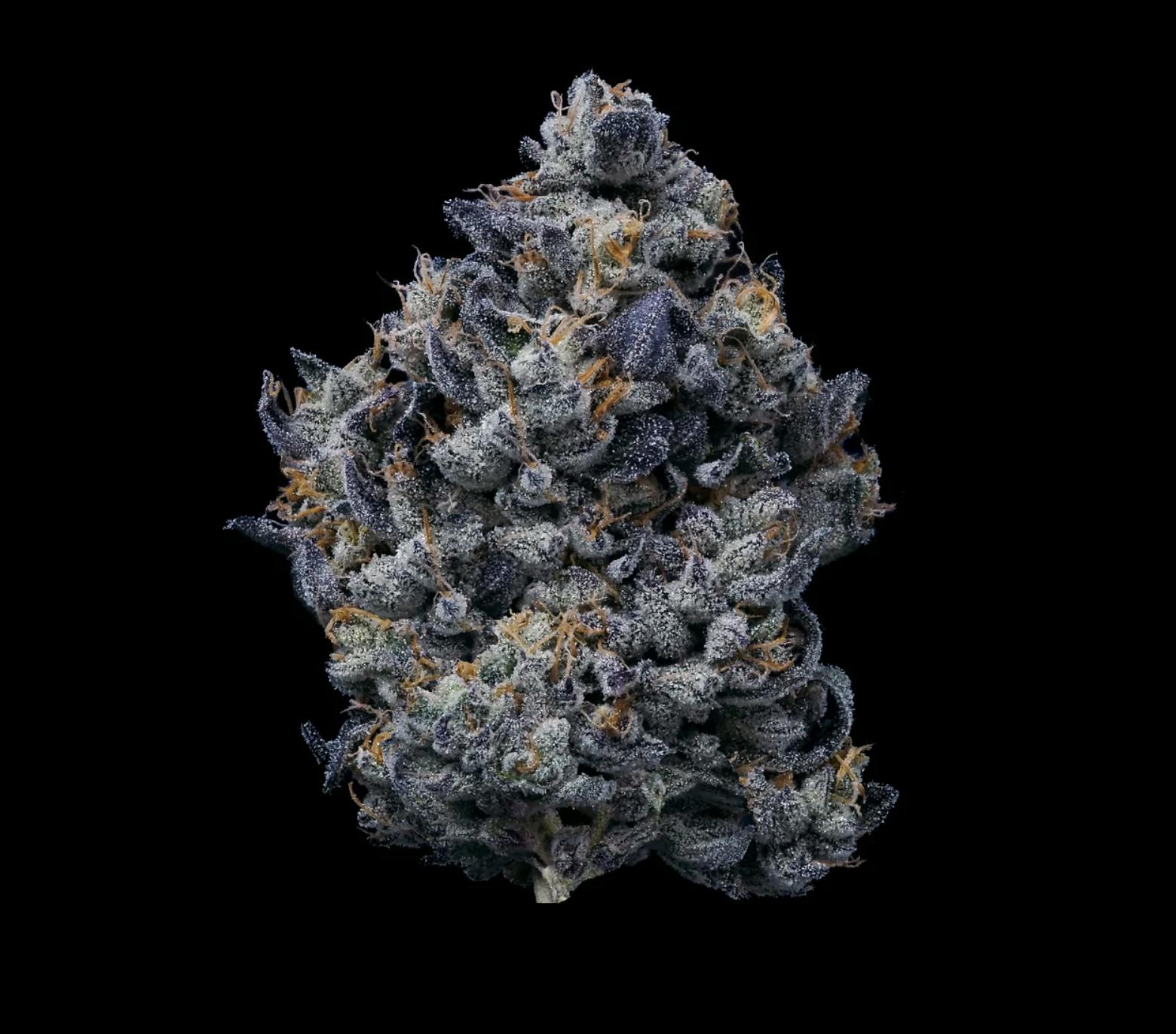Photograph of product: FIG FARMS | LEMON CHERRY GELATO | FLOWER | 3.5G
