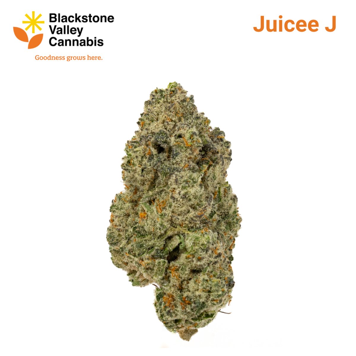Photograph of product: Juicee J 3.5g