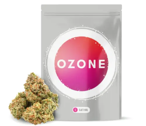 Photograph of product: Lemon Razz Chiffon | 3.5g