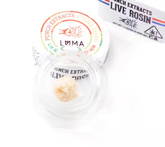 Photograph of Product: Lime Oasis (Tier 1) Cold Cure Live ROSIN Badder 1g - Punch Extracts