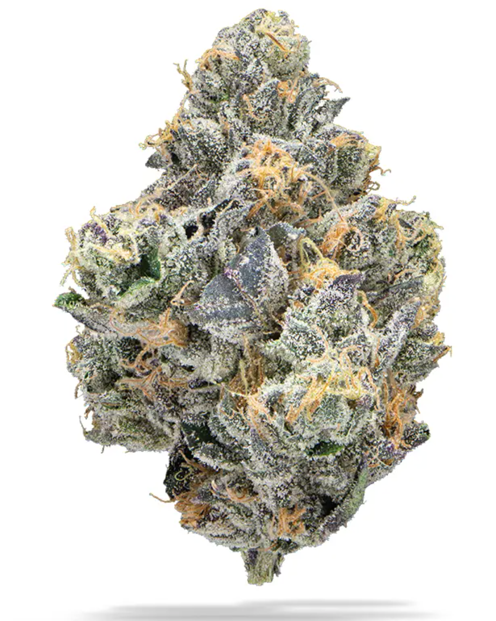 Photograph of product: Lemon Cherry Sherbert - 3.5g - Trifecta Farms