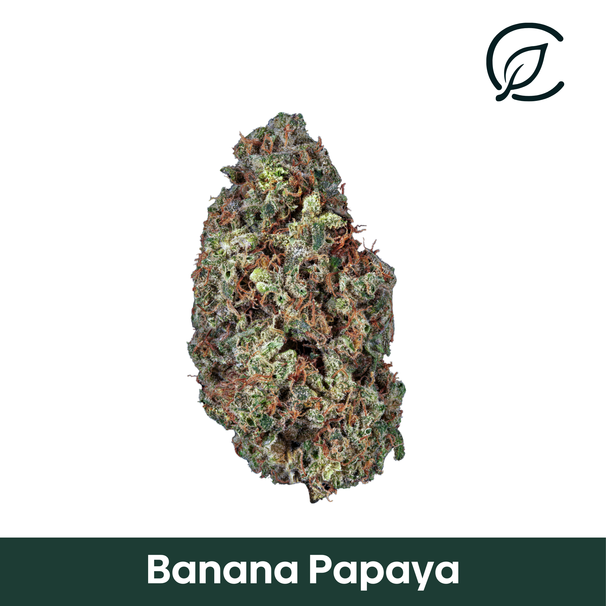 Photograph of product: CURALEAF | Banana Papaya | Flower | 3.5g
