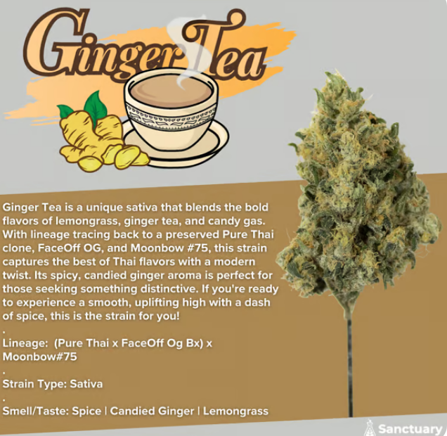 Photograph of product: Ginger Tea - 3.5g